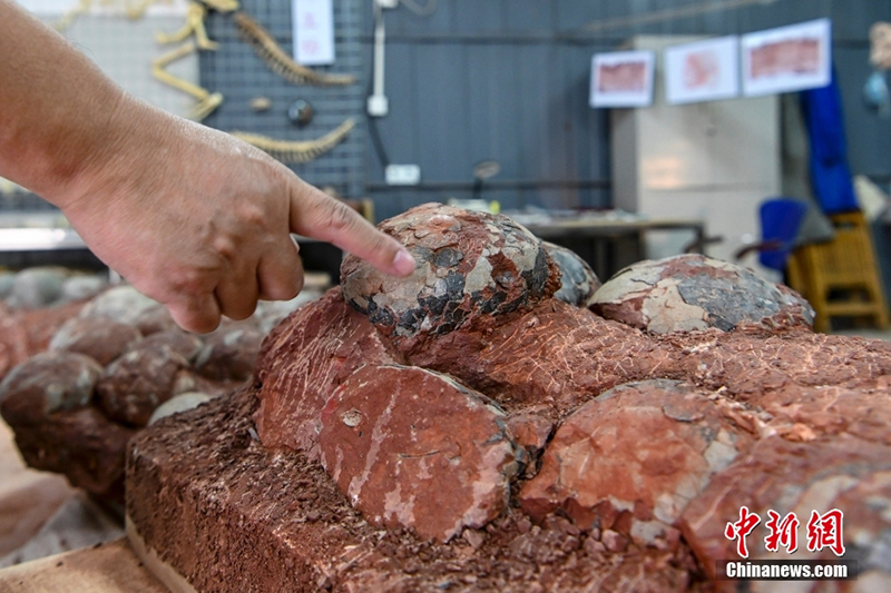 ???? ?? ????????? ???? ???? ?? 20 ???? ?? ?????? ??? ???????????