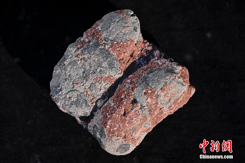 ???? ?? ????????? ???? ???? ?? 20 ???? ?? ?????? ??? ???????????