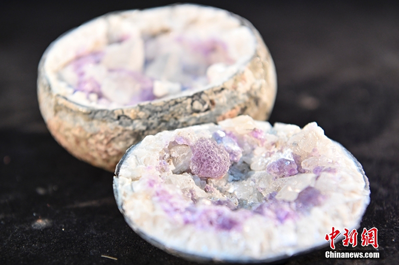 ???? ?? ????????? ???? ???? ?? 20 ???? ?? ?????? ??? ???????????