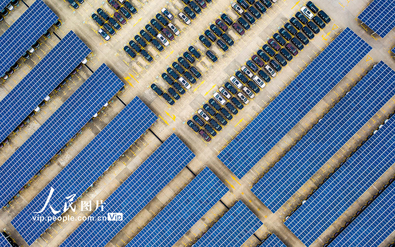 ???????? ???????: ???? ???????? ???????????