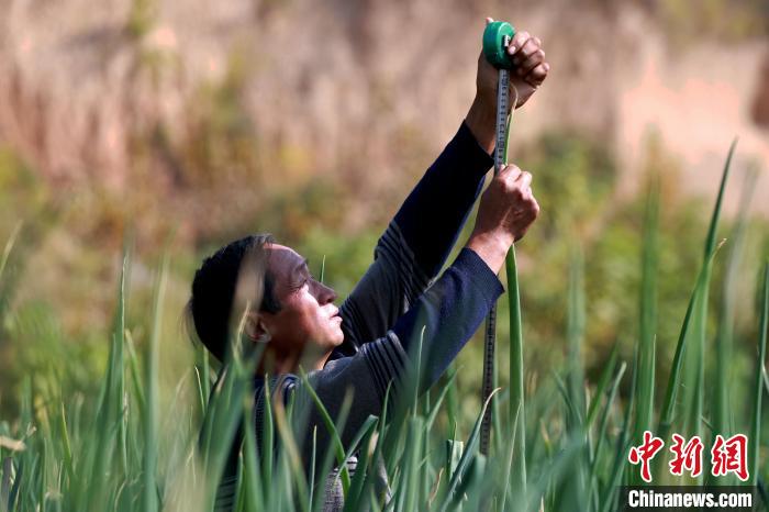 ????? ???? ?? ????? ?????? ?? ??????? ??? ????? 