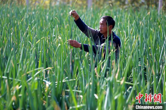 ????? ???? ?? ????? ?????? ?? ??????? ??? ????? 