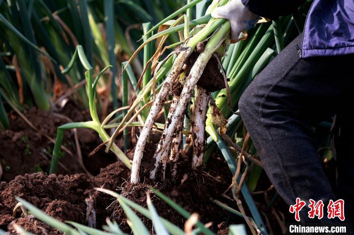 ????? ???? ?? ????? ?????? ?? ??????? ??? ????? 