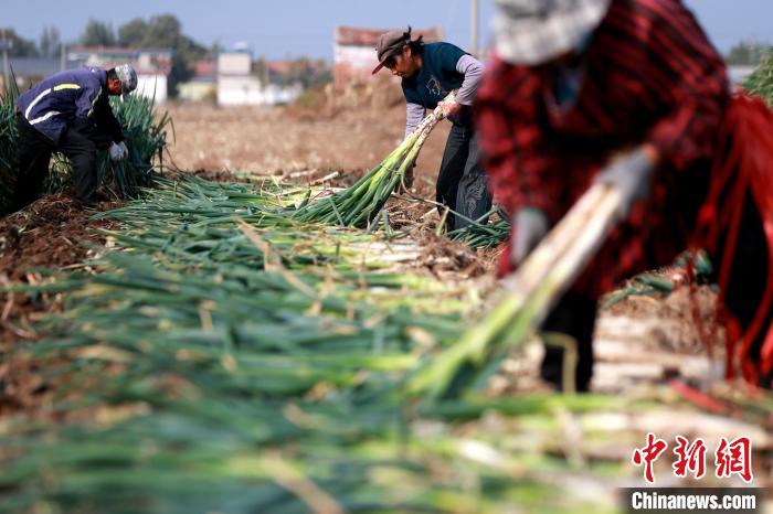 ????? ???? ?? ????? ?????? ?? ??????? ??? ????? 