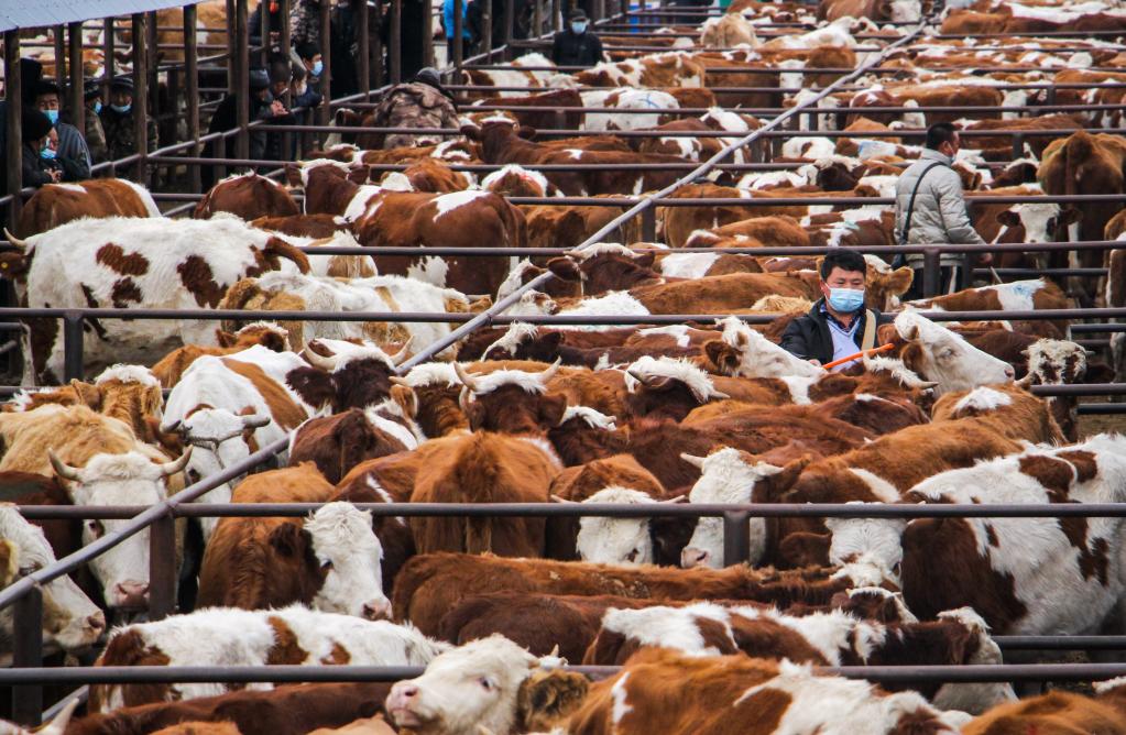 ??? ?????? ????? ?? ??????? ???????? ?????? ?????