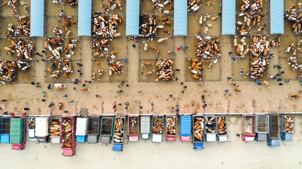 ??? ?????? ????? ?? ??????? ???????? ?????? ?????