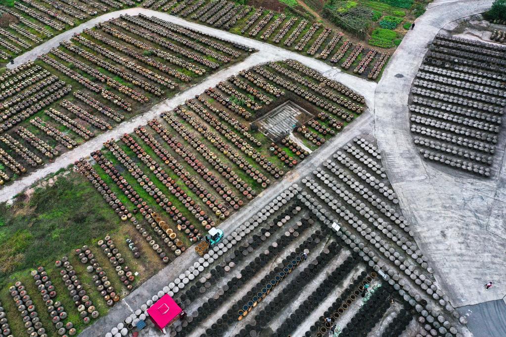 ??? ???? ?????? ??????? ?? ????? ????? ????? ???? ?????