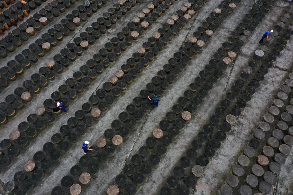 ??? ???? ?????? ??????? ?? ????? ????? ????? ???? ?????