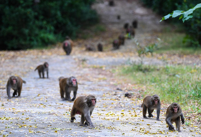 ???? ????? ???? 33 ???? ?? ????? ???? ??????