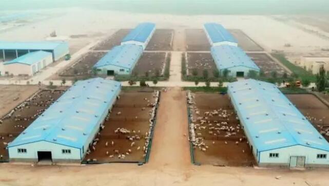 ????? ????? ?????? ?? ????? ???????? ???? ????? ???????? ?????? 