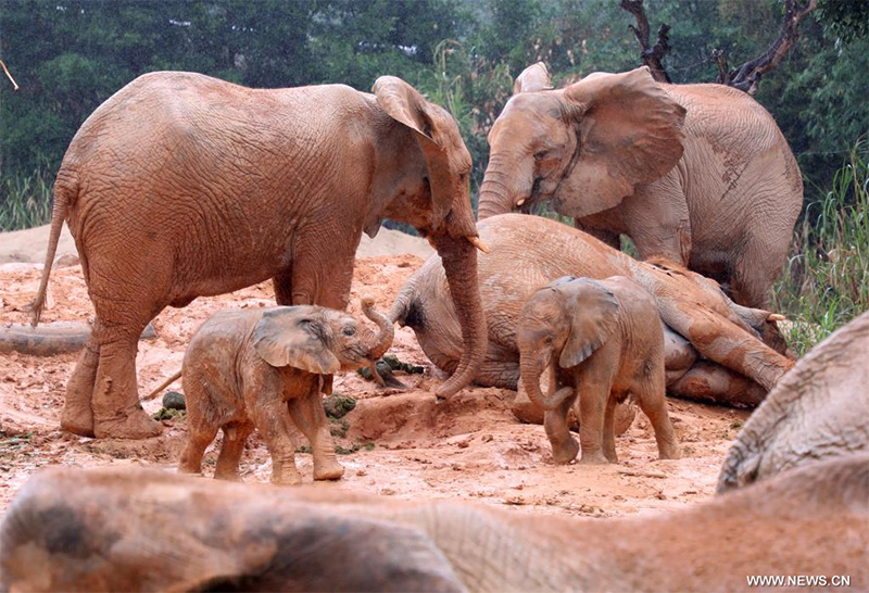 ???? ????? ???????? ?? ????? ????? ?????? ??? ???????? ??????? ?????????