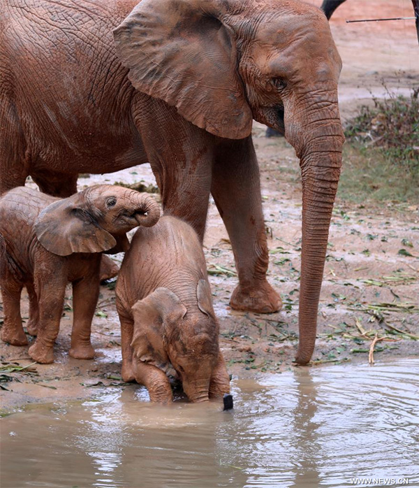 ???? ????? ???????? ?? ????? ????? ?????? ??? ???????? ??????? ?????????