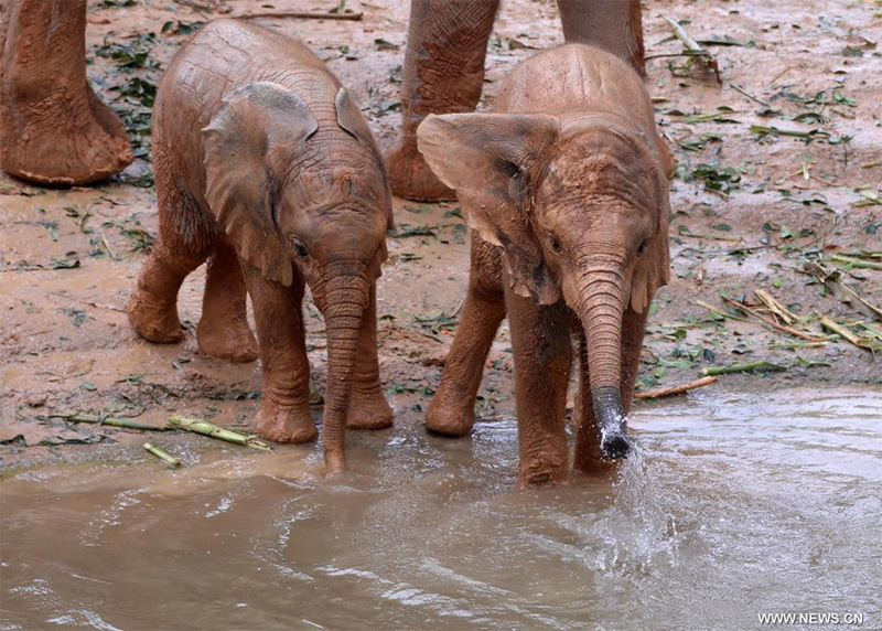 ???? ????? ???????? ?? ????? ????? ?????? ??? ???????? ??????? ?????????