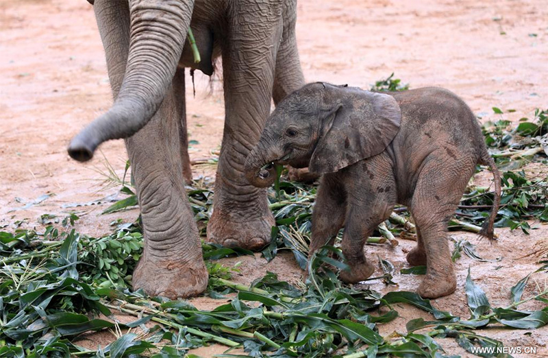 ???? ????? ???????? ?? ????? ????? ?????? ??? ???????? ??????? ?????????