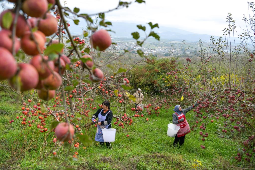 ???? ???? ?????? ?? ?????? ?????? ????? ???? ?????