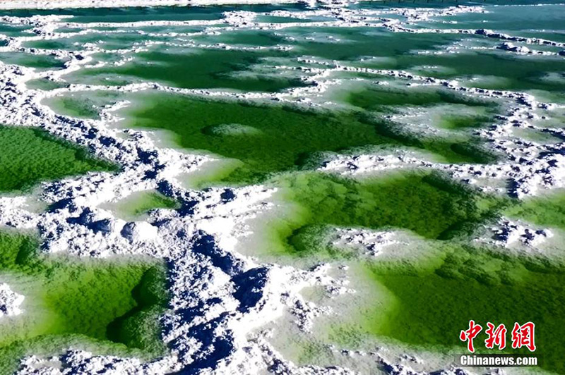 ????? ?????? .. ????? ??????? ??????? ?? ???????? ???????