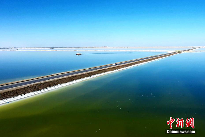 ????? ?????? .. ????? ??????? ??????? ?? ???????? ???????