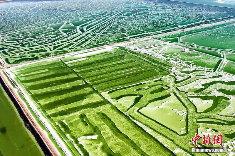 ????? ?????? .. ????? ??????? ??????? ?? ???????? ???????