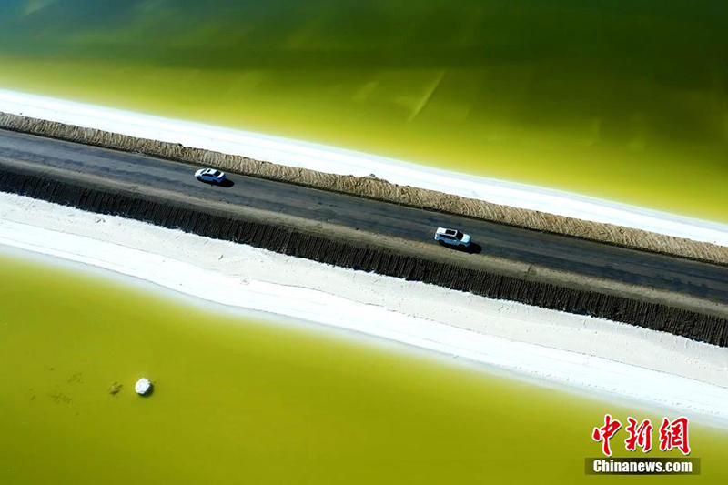 ????? ?????? .. ????? ??????? ??????? ?? ???????? ???????