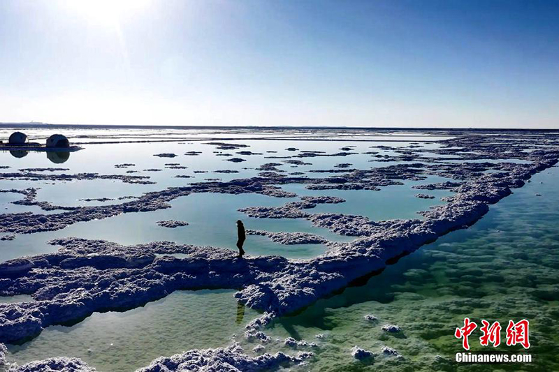 ????? ?????? .. ????? ??????? ??????? ?? ???????? ???????