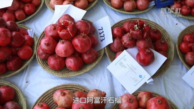 ?? ?????? ??? ??? ??????? ..  ???? ??? ?????? ?? ???? ????? ?????? ????????? ?????