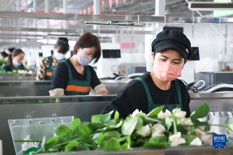 ???? ?????? ??????? ?? ?????? ????? ??? ??????? ????????