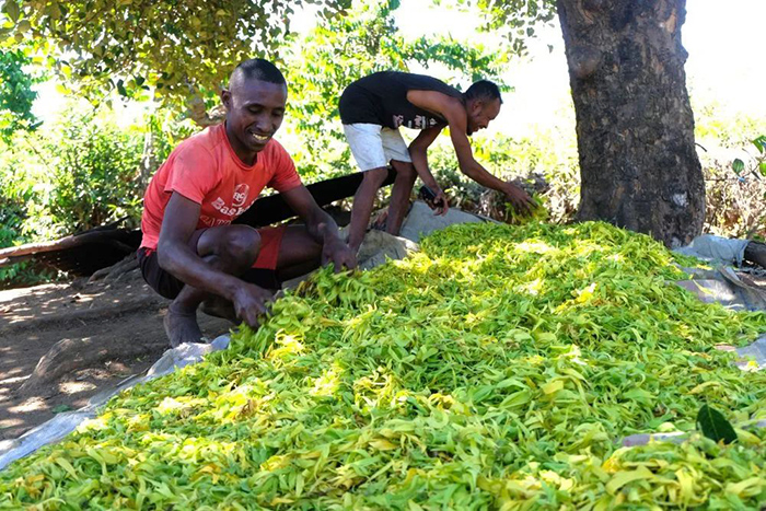 ??? ?????? ????????? ???? ???? ???? ????? ?????? ?????? ????????? 