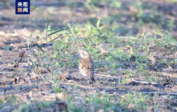 ??? ????? ??????? ?? ?????? ?????? ?? ??????? ?????? ?????? ?????