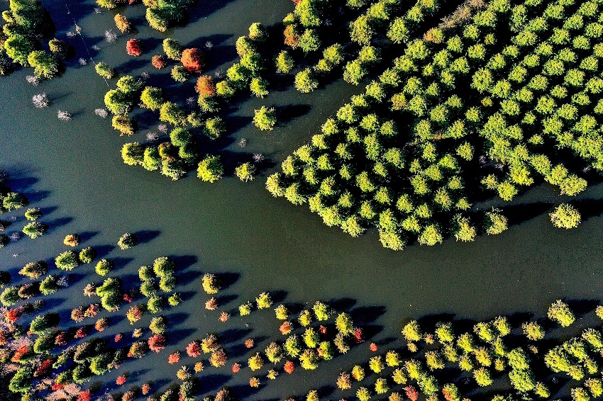 ????? ??????? ??????? ????? ??????? ???? ??????