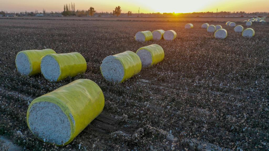 ???? ???? ????? ?? ?????? ????? ?????? ???????? ???????