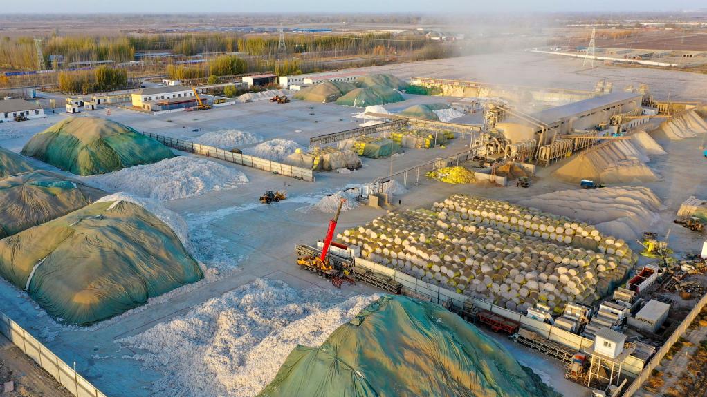 ???? ???? ????? ?? ?????? ????? ?????? ???????? ???????