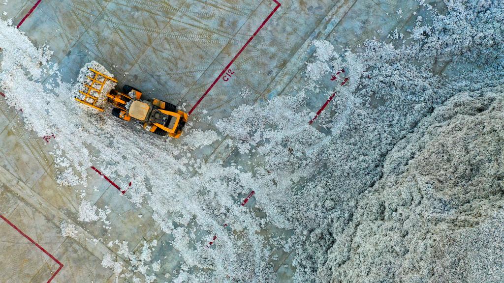 ???? ???? ????? ?? ?????? ????? ?????? ???????? ???????