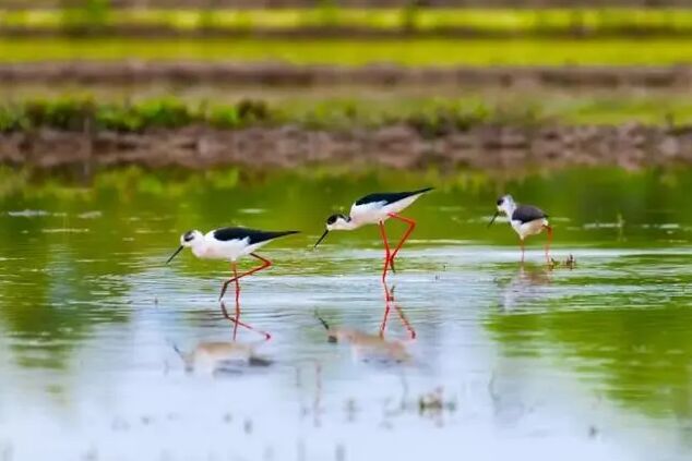 ????? ??? ???? ??? ??????? ?????? ???????