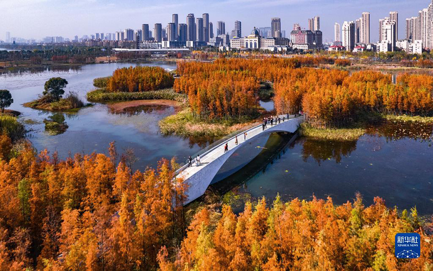 ????? ??? ???? ??? ??????? ?????? ???????