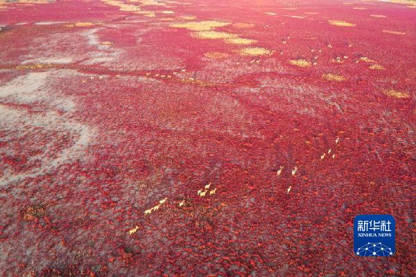 ????? ??? ???? ??? ??????? ?????? ???????