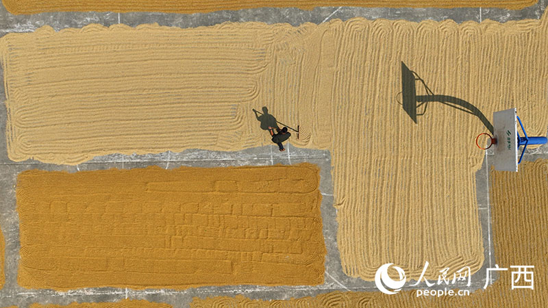 ???????: ???? ?????? ????? ?? ????? ??????? ????? ??????  