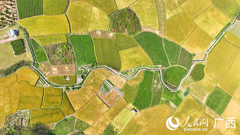 ???????: ???? ?????? ????? ?? ????? ??????? ????? ??????  