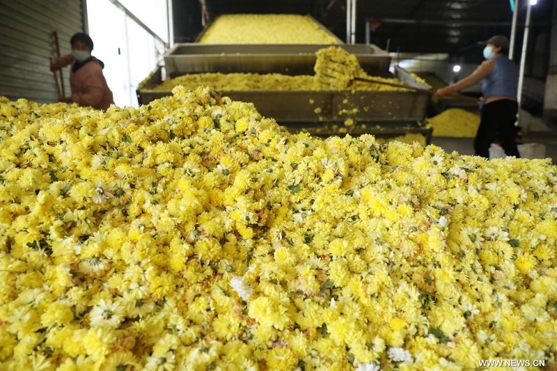 ???? ???? ???????? ????????? ?? ??? ?????