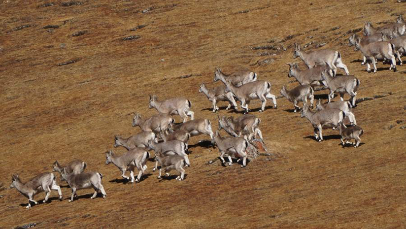 ????????? ?????? ?? ????? ??????? ????? ????? ??? ??????