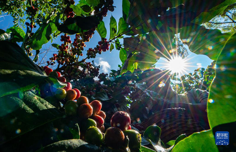 ???? ????? ??????.. ???? ??????? ???? ????? ???? ????