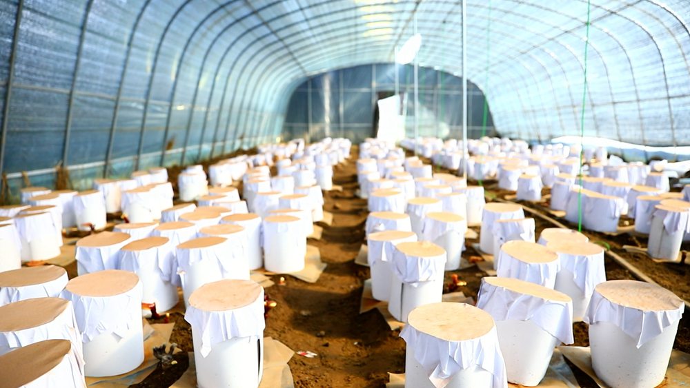 ?????: ???? ???? ???? ??????