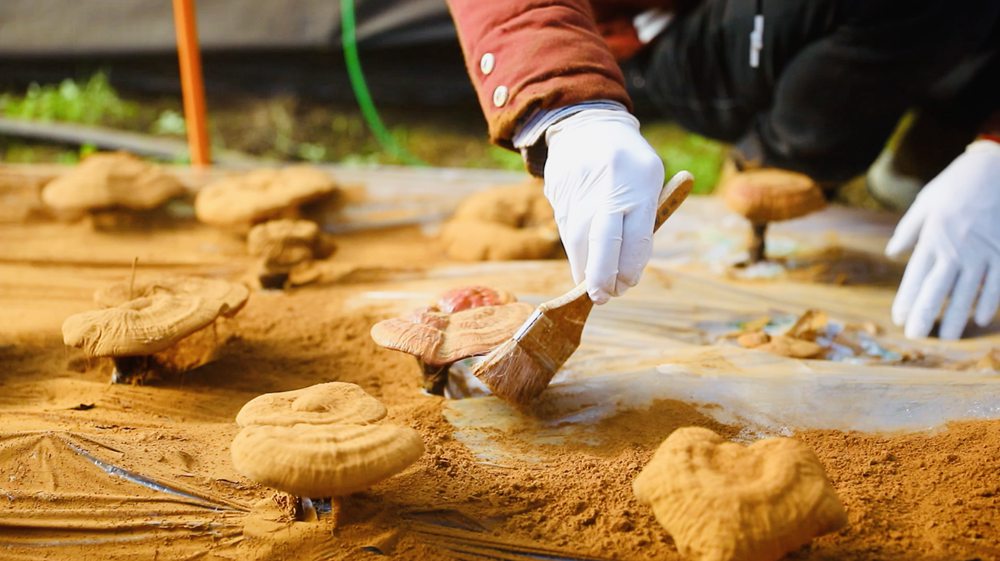 ?????: ???? ???? ???? ??????