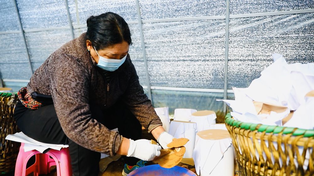 ?????: ???? ???? ???? ??????