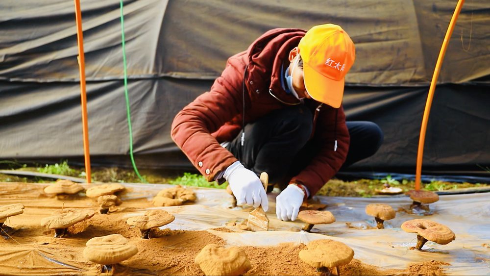 ?????: ???? ???? ???? ??????