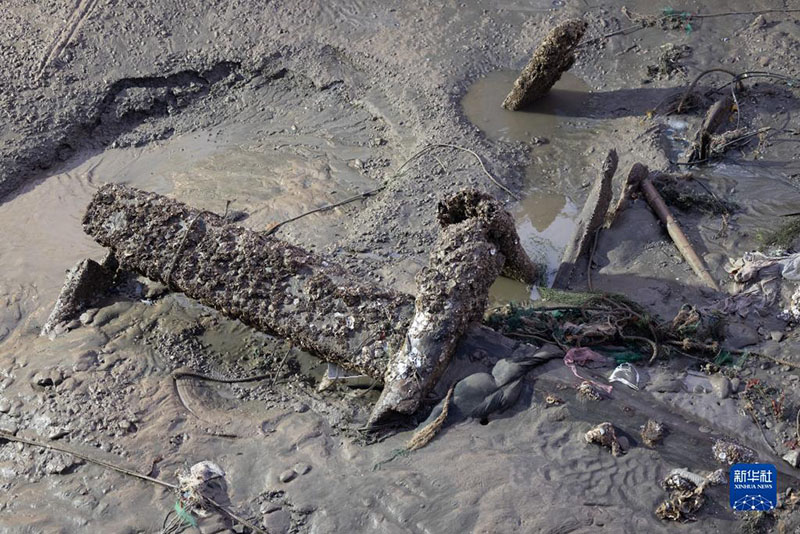 ?????? ???? ????? ????? ???? ??? ???? ????? ???????????? ?? ???????