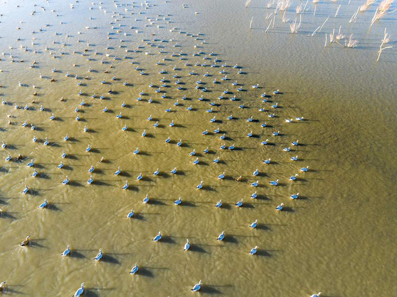 ????? ???? ?????? ?? ??????? ?????? ???? ?? ???? ????? ?? ???? ?????? 