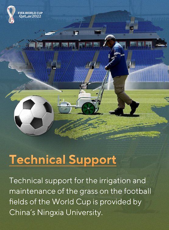 ????? ??????: ????????? ???? ?????? ??????? ????? ????? ???? ?? ????? ???