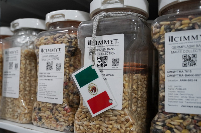 ????? ???? ??? ????? ??????? ?????? ?????? ????? ??????