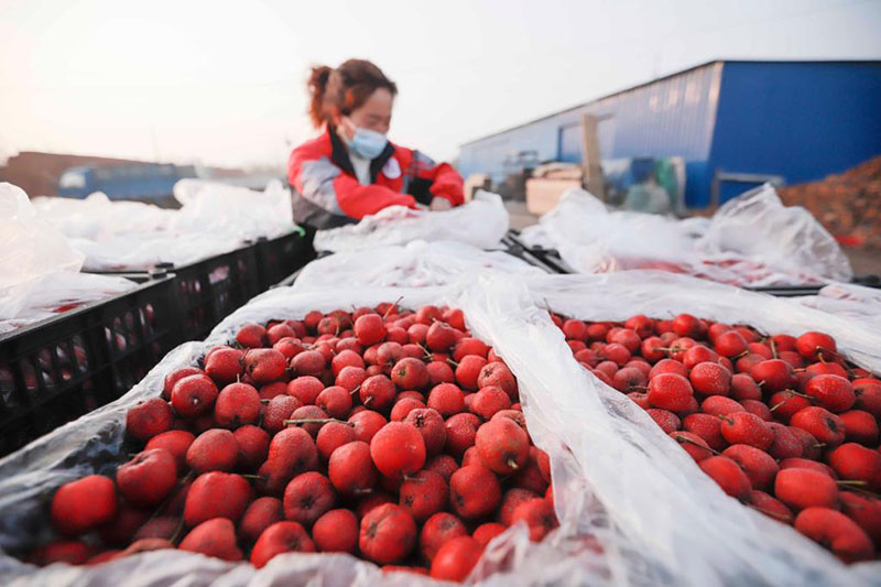 ??????: ???? ???? ??????? ????? ??? ????? ???? ????????? ?? ????? ?????