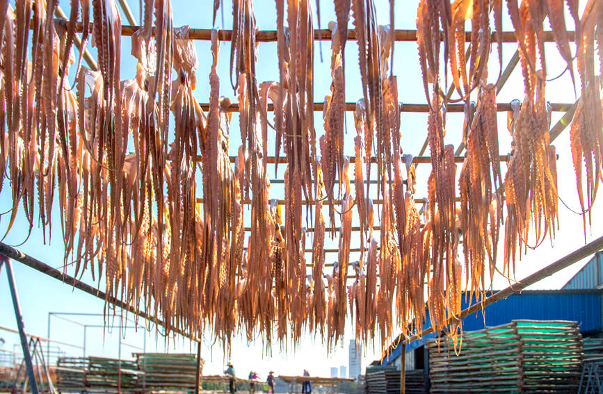 ?????? ???????: ???????? ??????? ?????? ???????? ??????? ???????